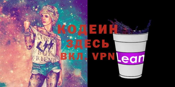 твердый Бородино