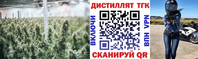 Дистиллят ТГК жижа Устюжна